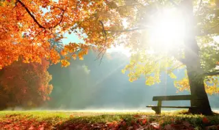 Времето днес, прогноза за четвъртък, 11 декември: Слънчево и почти тихо