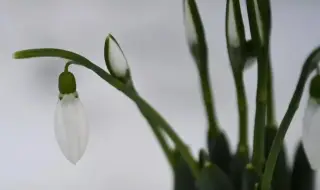 Времето днес, прогноза за сряда, 21 януари: Облачно. Снеговалежи в Южна България и Централния Балкан