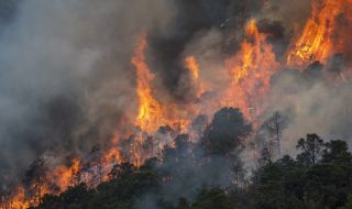Голям горски пожар в Южна Испания