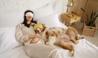 Домашните любимци подобряват психичното здраве на 83% от стопаните