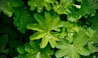 Weather today, forecast for Thursday, April 23: Colder, precipitation continues 