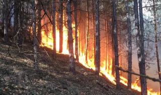 Овладяха голям пожар над Благоевград