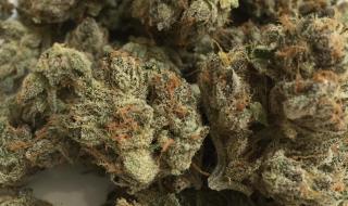 В Бургас задържаха 27-годишен със 150 грама марихуана