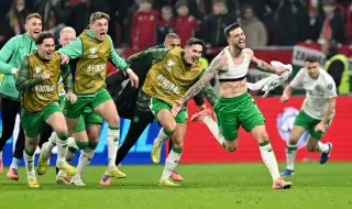 Ireland made a memorable comeback against Hungary and qualified for the play-offs 