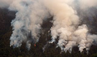 26 000 души на Тенерифе са евакуирани заради пожарите