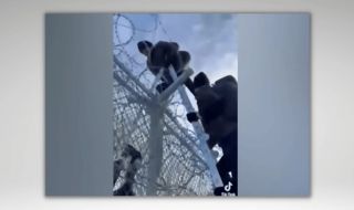 Мигранти се похвалиха в Тик-Ток как преминават оградата на границата ни 
