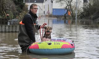 Потопът в Германия: как са спасявани коне, кучета и котки