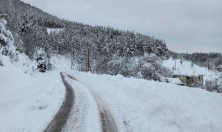 Над 310 снегопочистващи машини обработват пътищата