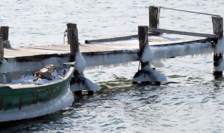 Как да оцелеем в студена вода