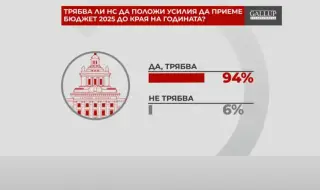 Referendum: 94% of Bulgarians believe that the National Assembly should adopt a budget by the end of the year 