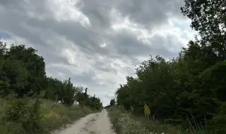 Къде е "пумата", чия е и как се е озовала в България