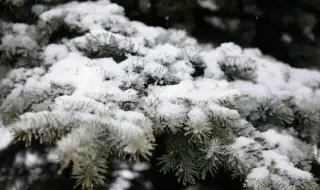 Prof. Rachev promised a lot of snow in the mountains for Christmas and New Year 