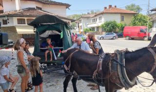 Многодетно семейство пътува с каруца от Франция за Палестина, спря в Ловеч
