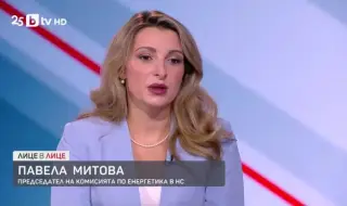 Павела Митова: Не бива да се приемат сложни законопроекти, ако няма политически консенсус