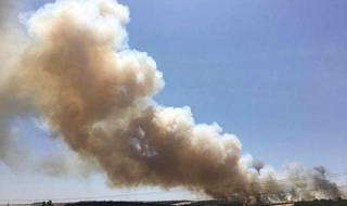 1000 декара с жито изгоряха при пожар край Плевен (ВИДЕО)