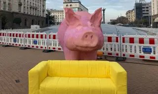 Часове преди поредния протест в Триъгълника на властта: До прасето-касичка се появи и жълт "Диван Диван"