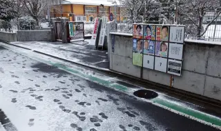 За пръв път от няколко години в Токио падна сняг (ВИДЕО)