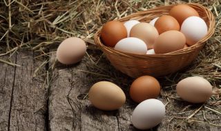 Шест опасни вида яйца