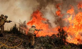 Нов пожар спря движението по Е 79 в района на Кресна