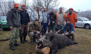 Отстреляха 250-килограмов глиган в Монтанско