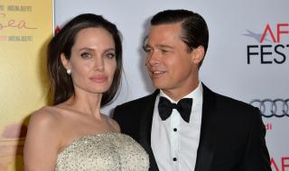 Разводът с Джоли може да струва на Брад Пит 100 млн. долара