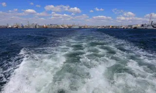 Екоактивисти: Имаме само едно Черно море и трябва да го защитим