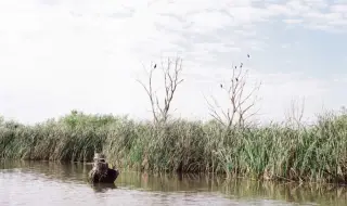 Как ниските води на Дунав се превръщат в енергиен риск? 