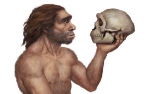 Във Франция откриха рисунки на неандерталци