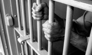 Във Франция учат затворници на волейбол