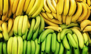 Зелените или зрелите банани са по-полезни?