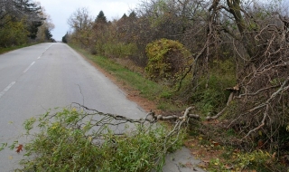 Близо 150 населени места в Североизточна България останаха без ток