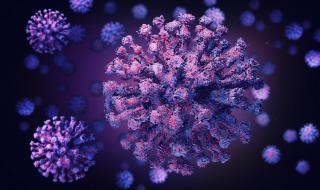 Появи се нова версия за произхода на коронавируса