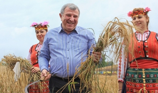 Греков: Цената на хляба няма да скача