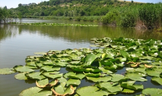 България внесе в ЮНЕСКО номинации за 4 биосферни резервата