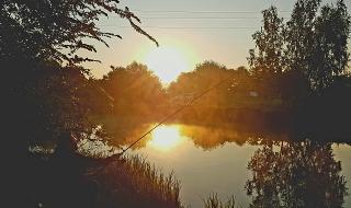 Слънчева и топла неделя