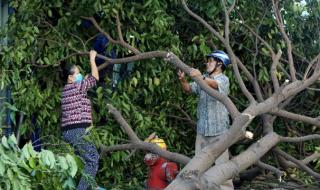 Тайфунът Молаве взе десетки жертви във Виетнам 