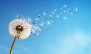 История за любовта, която убива