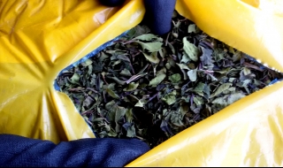 Разбиха канал за трафик на наркотици