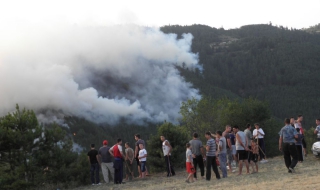 Пожарът в община Белица е локализиран