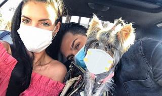 Джино сложи маска и на кучето си