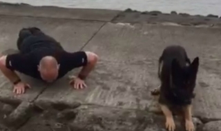 Полицейско куче прави лицеви опори (ВИДЕО)