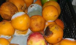 Прокуратурата разследва фирма, доставяла развалена храна в болници