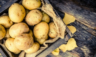 Учени съветват: Не прекалявайте с картофите!