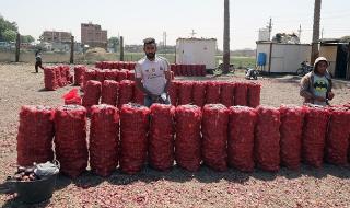 Индиeц купи над 25 тона лук, за да избегне блокадите по пътя към дома
