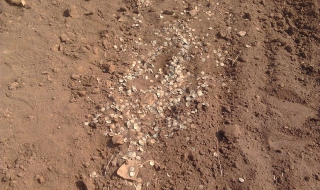 Полицай откри антики при обход