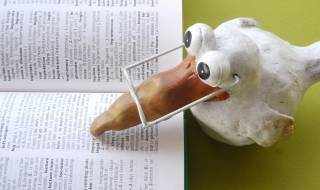 Притча за мъдрата птица