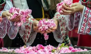 Розоберът край Казанлък ще започне от 24 май