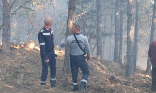 Голям горски пожар се разрази в Харманлийско (ВИДЕО)