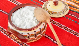Направиха кисело мляко с мравки по традиционна рецепта от България