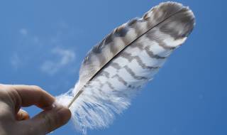 Как слуховете ни нараняват